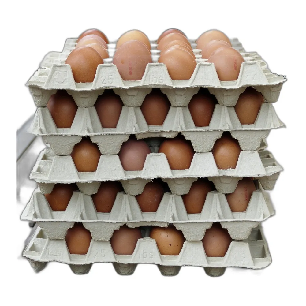 Chicken Eggs (Tray of 30)