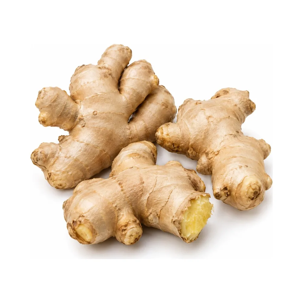 Ginger