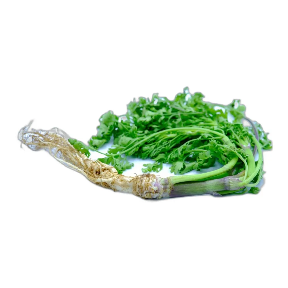 Coriander leaves