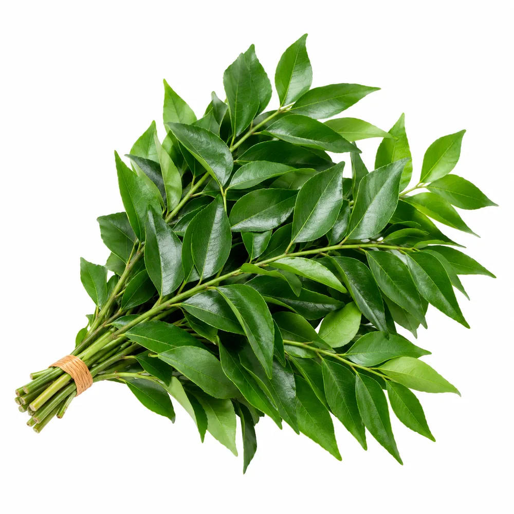 Curry Leaf