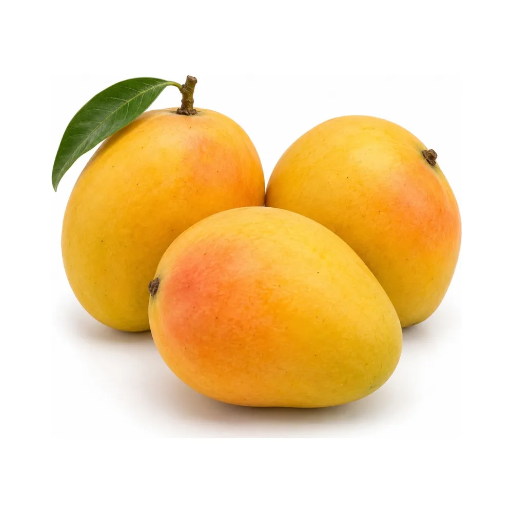 Alphonso Mango (Ripe)